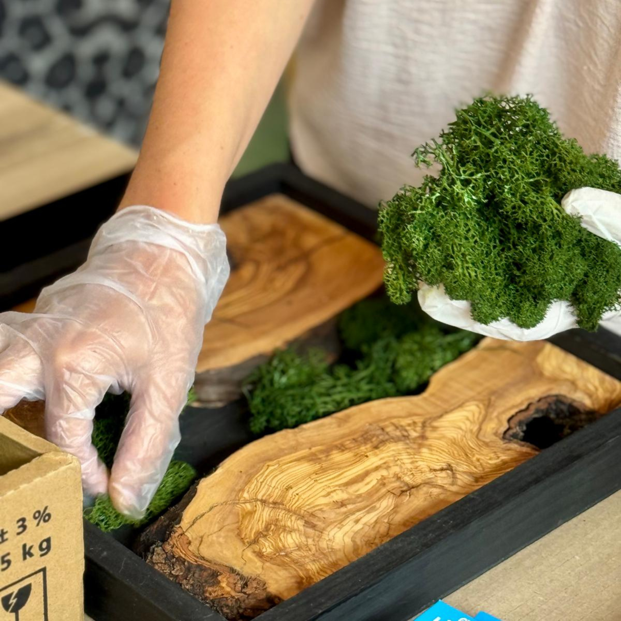 Arranging green moss in a black wooden frame.